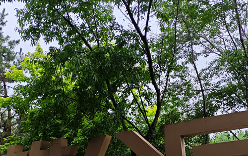 沈陽人事代理服務(wù)：簡(jiǎn)化人力資源管理的秘訣